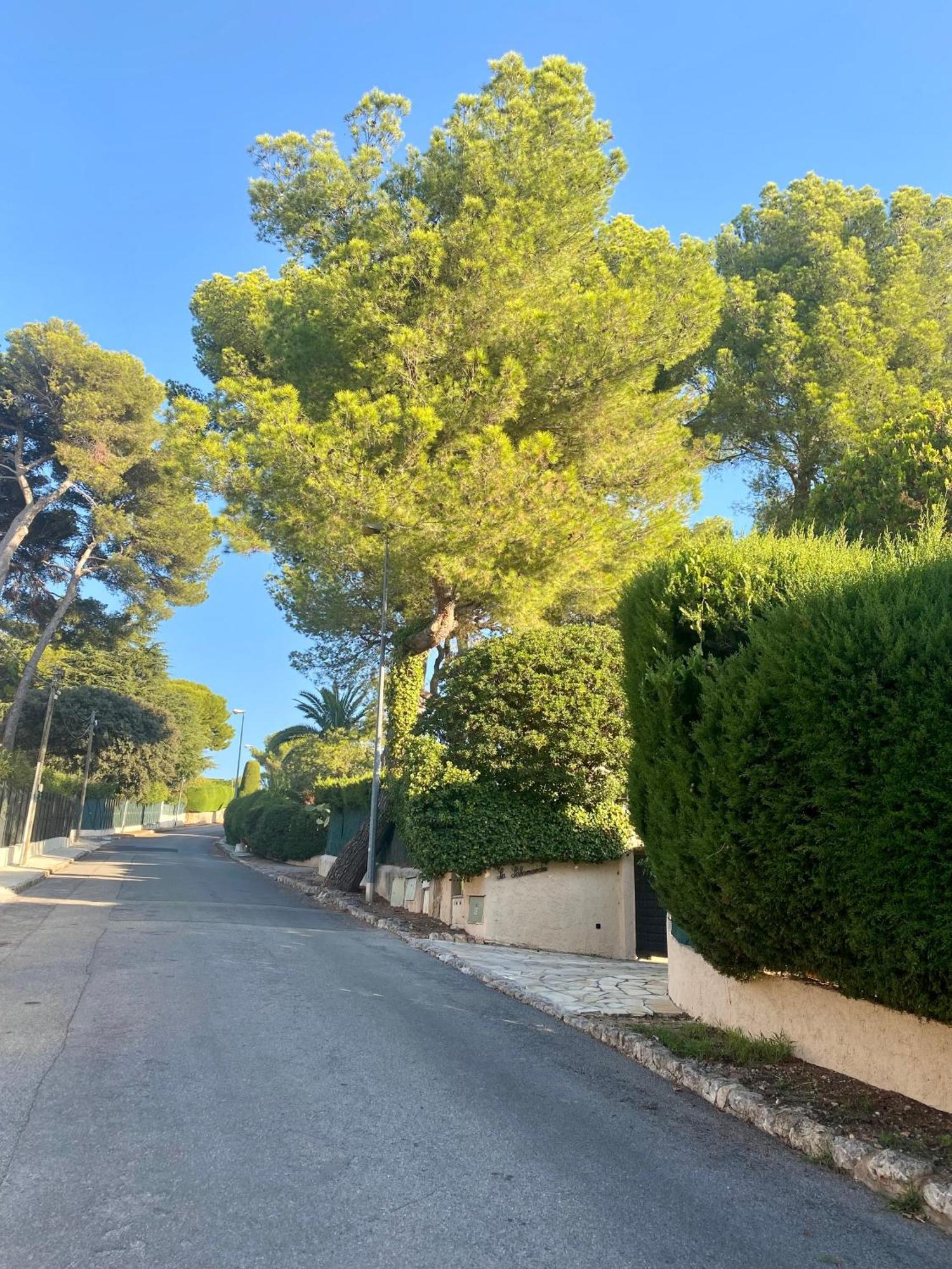 Sea View Villa - Antibes - Beach - Pool - Art Deco Exterior foto